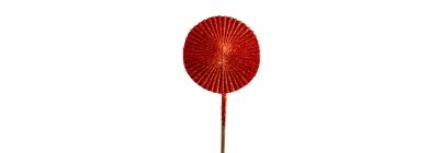 Flor rojo navideña