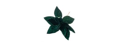 Flor navideña verde afelpada