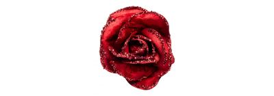 Rosa navideña afelpada vino