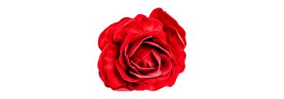 Flor navideña afelpada roja