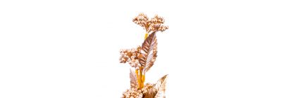 Rama navideña champagne tornasol