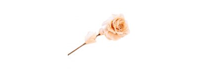 Flor artificial navideña rosa beige