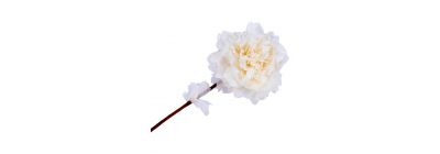 Flor artificial peonia navideña crema
