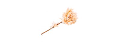 Flor artificial navideña peonia beige