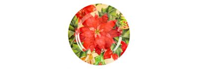 Plato navideño estampado