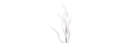 Rama espiral escarchada blanca