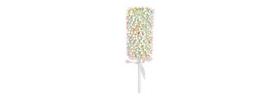 Paleta dulce colgante multicolor