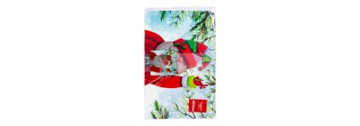 Individuales navideños estampados