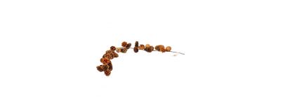 Guirnalda decorativa con bellotas