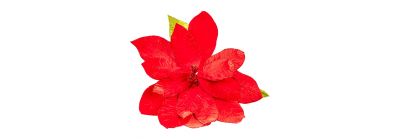 Flor navideña afelpada rojo-verde