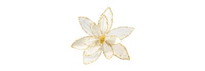 Flor navideña blanco-dorado