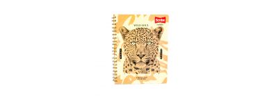 Cuaderno cuadriculado Scribe 7mm 101-100 ecológico