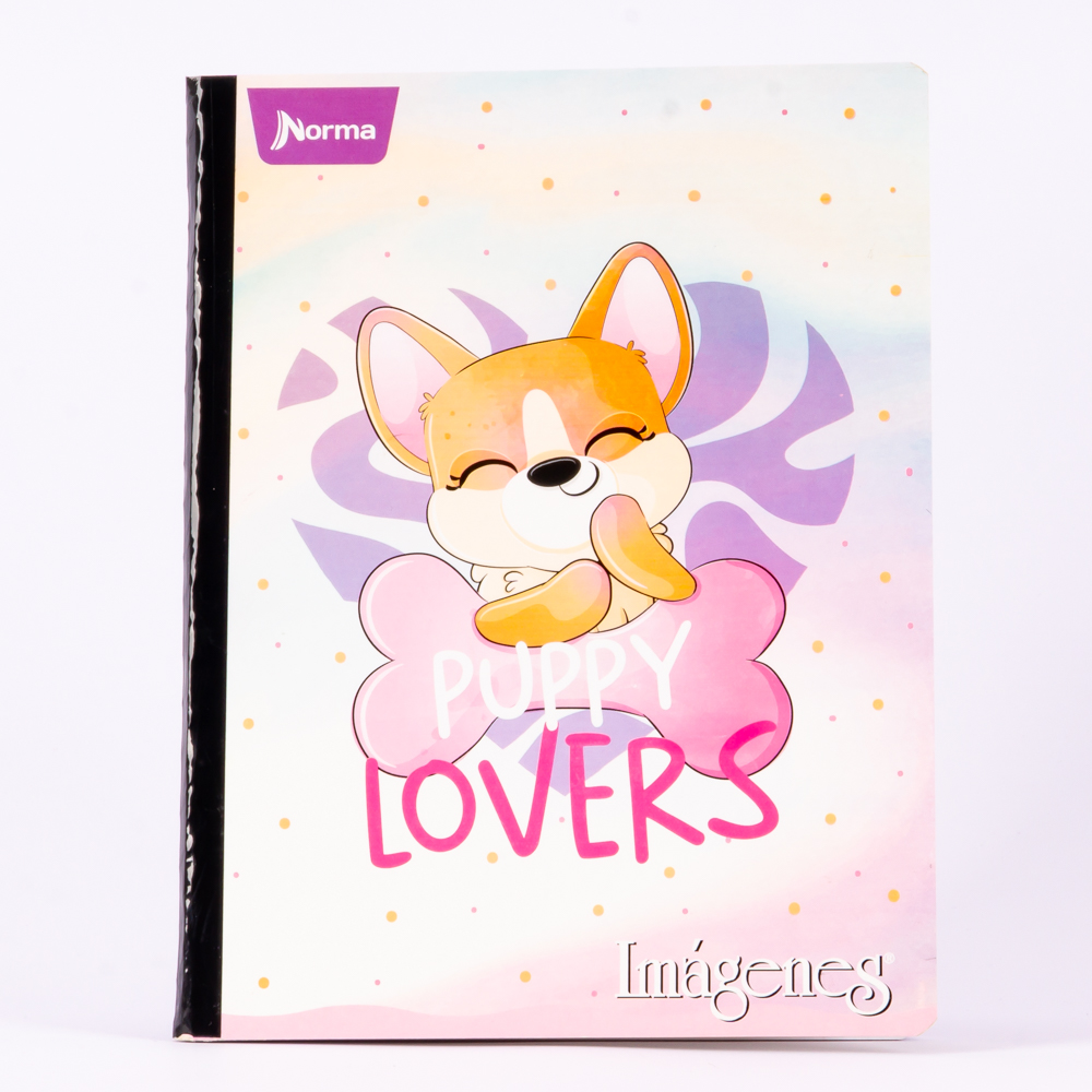 Cuaderno grande 100h Surtido por estilo