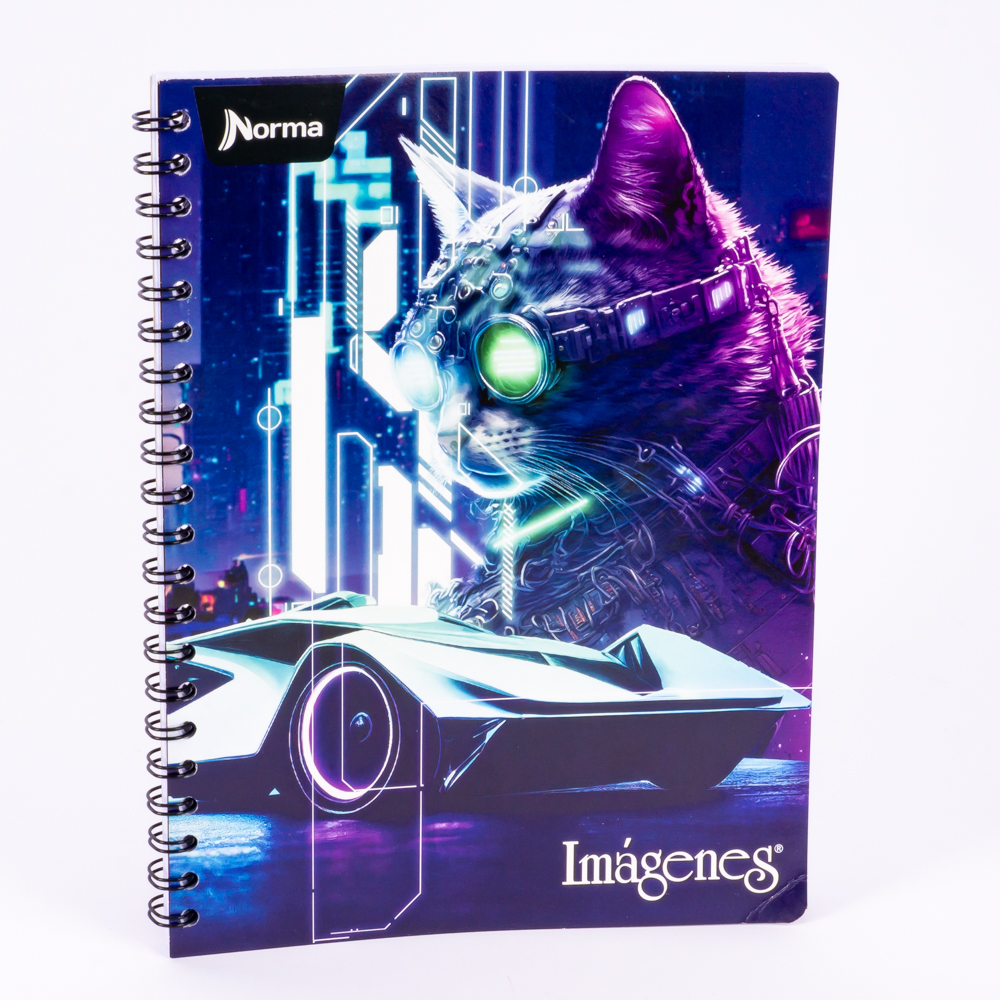 Cuaderno grande 100h surtido Surtido por estilo