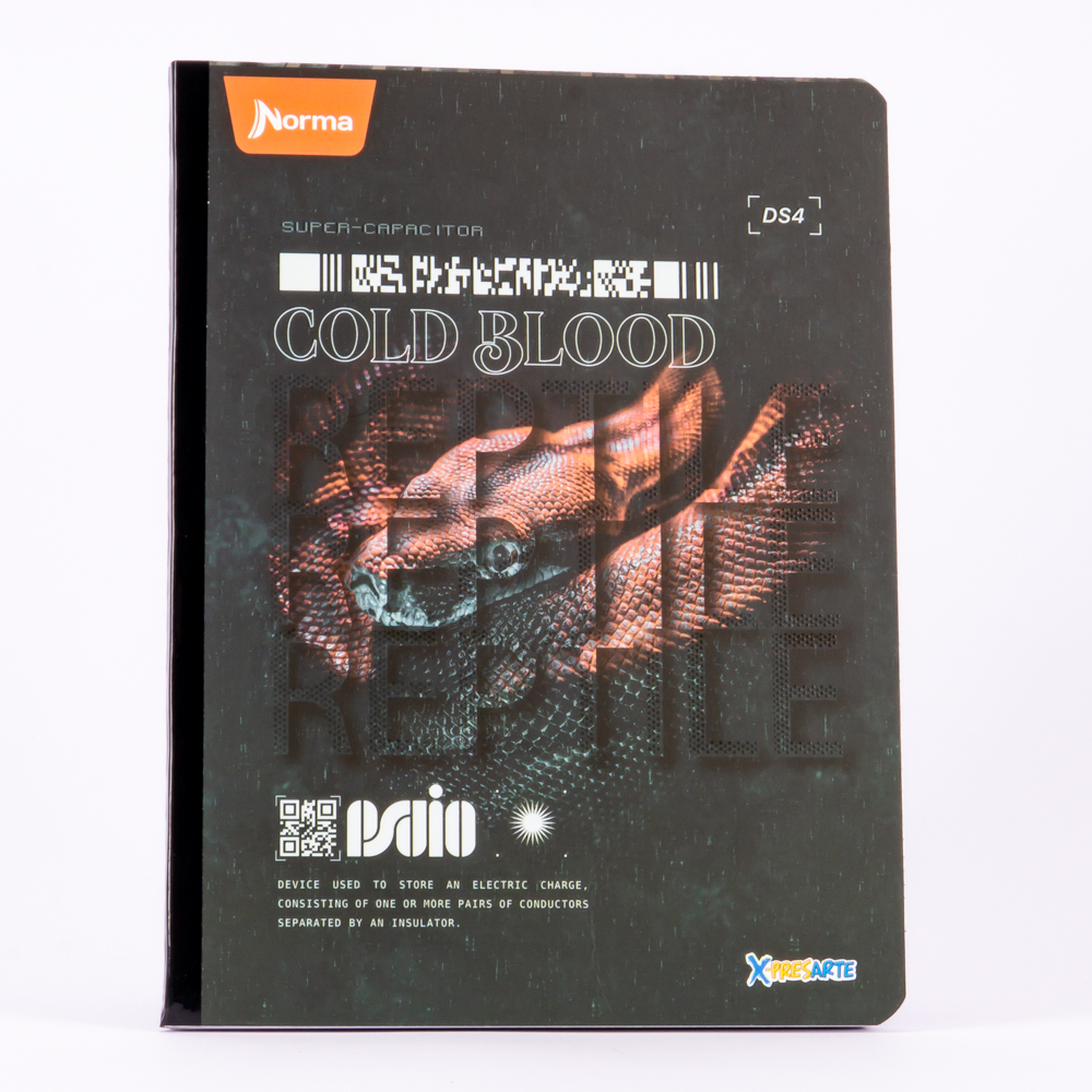 Cuaderno grande 100h x-presarte Surtido por estilo