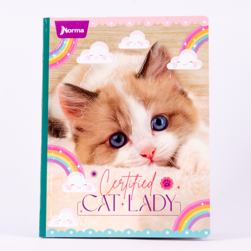 Cuaderno cats 100 h Surtido por estilo