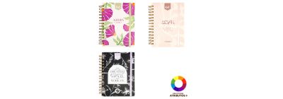 Agenda diaria Kiut 2026