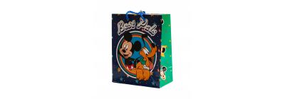 Bolsa regalo estampado Disney niño surtido
