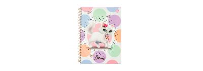 Cuaderno td sissi 80 hjs
