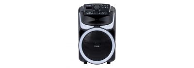 Parlante portátil 550W moderno