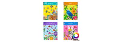 Libro para colorear surtido