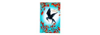 Libro juegos del hambre 01 