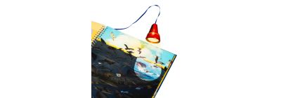 Libro educativo animales del mar