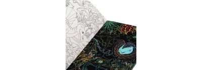 Libro educativo sobre dinosaurios